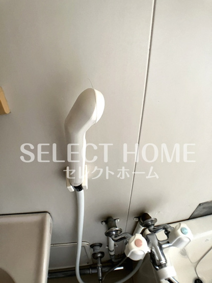  | タウニィニューパイン