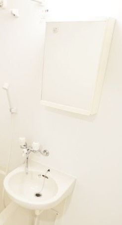 グランヴァンメトロⅠの洗面所