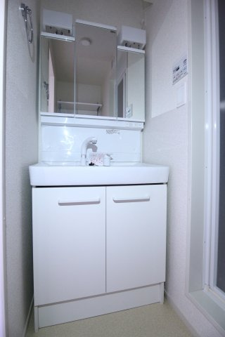 メゾン・ド・カルムⅥの洗面所