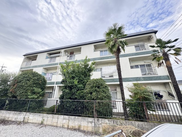 グリーンマンション