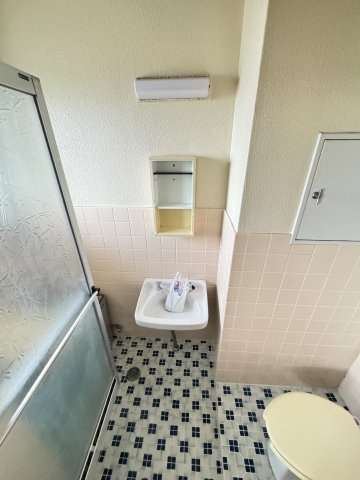 グリーンマンションの洗面所
