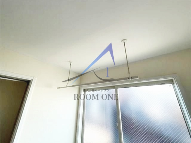 ゼルコーバのその他