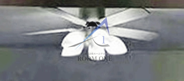 ロイヤルパレス清水町