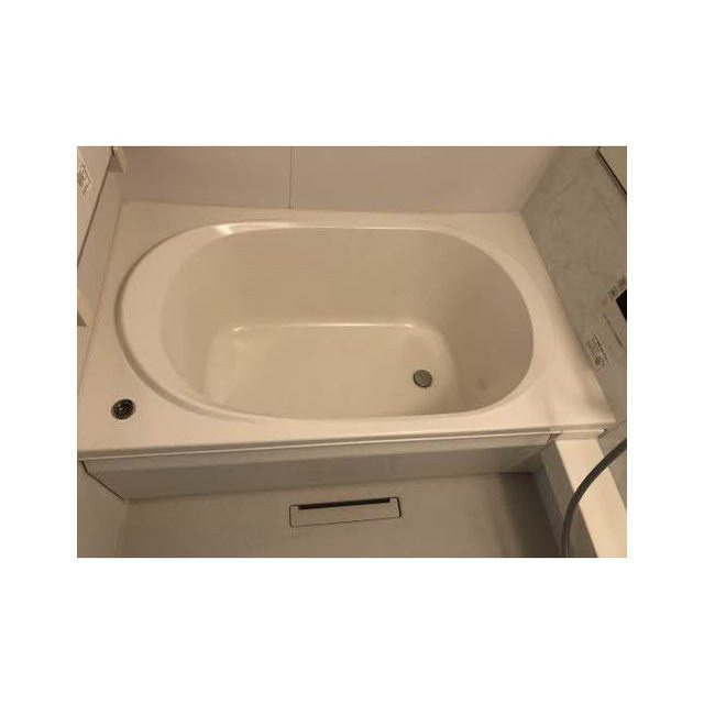 岐阜市領下４丁目の賃貸マンションの浴室