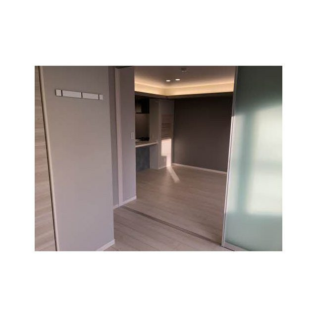 岐阜市領下４丁目の賃貸マンションの内装