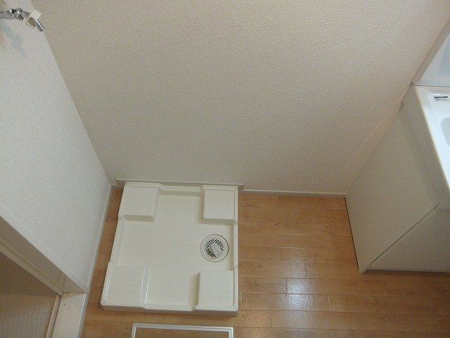 レオン　ステラのその他