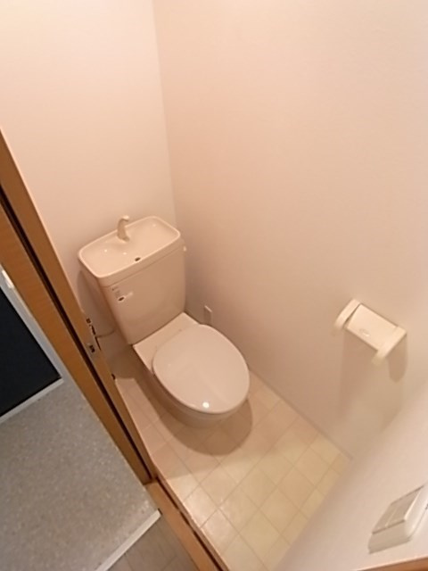 ドメスティック南光荘のトイレ