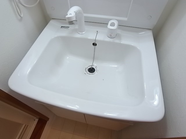 ドメスティック南光荘の洗面所