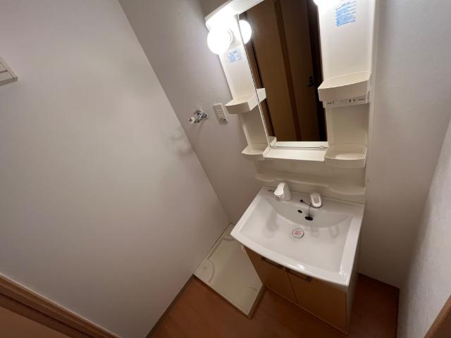 グリーンハイムＥの洗面所|洗面