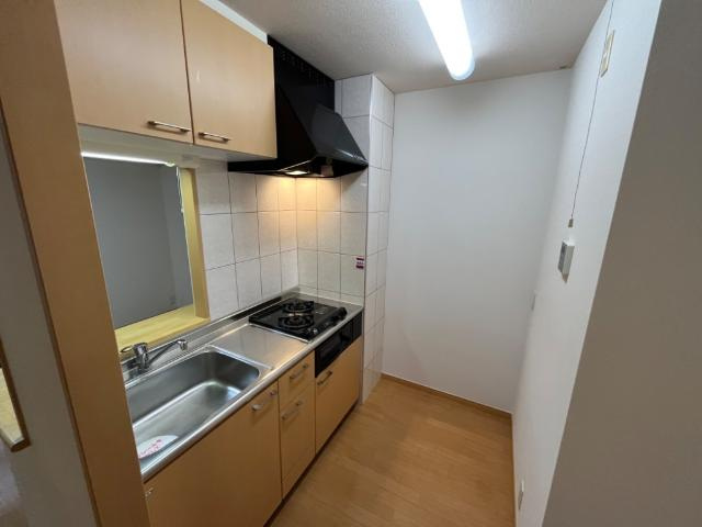 グリーンハイムＥのキッチン|廊下