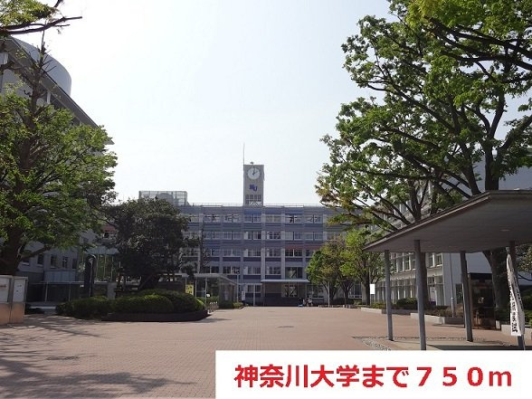 シャテーニュ・テラスの周辺|神奈川大学まで750m