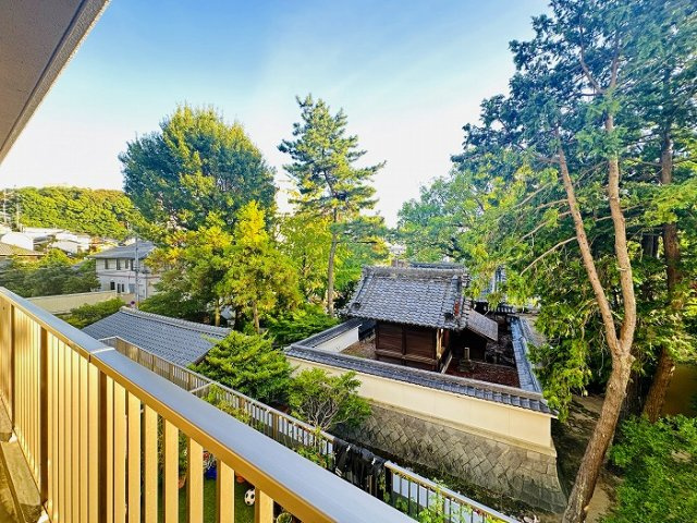 【展望】の画像