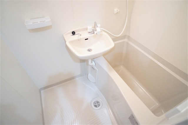 プレシャス南与野の洗面所