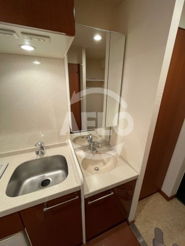 エステムコート心斎橋EASTエリジオンの独立洗面台|エステムコート心斎橋EASTエリジオン　洗面台