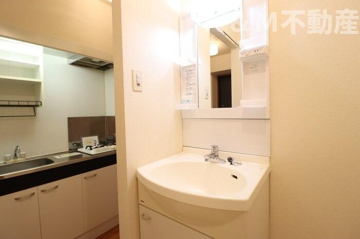 ヴィラデルニエの洗面所|広い洗面スペース