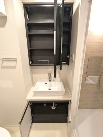 LEFOND PROGRES田原町の設備|2面鏡付ハンドシャワー付独立洗面台です