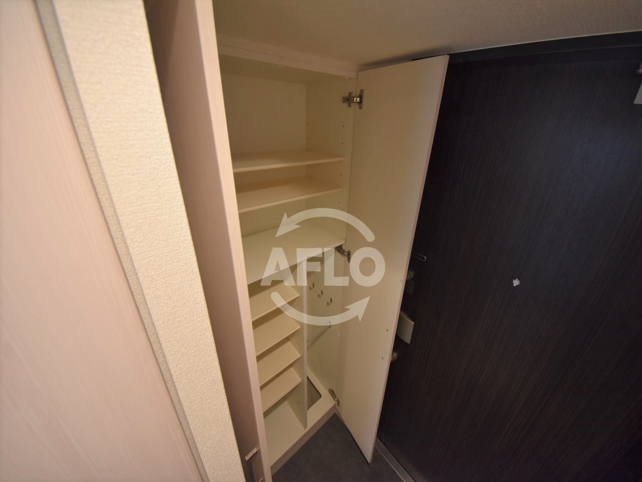 プレサンスタワー北浜の収納|プレサンスタワー北浜　シューズボックス