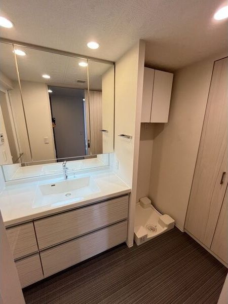 阿波座ライズタワーズ フラッグ46の洗面所