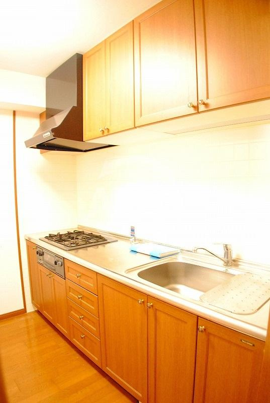 リーガル北心斎橋のキッチン|リーガル北心斎橋　３口システムキッチン