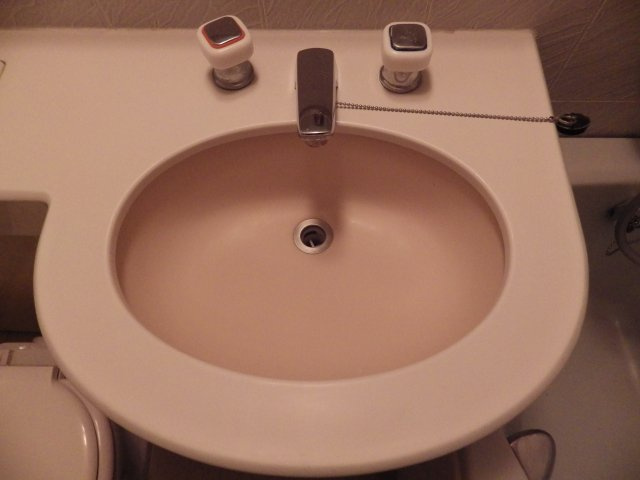 本郷ウッドフィールドの洗面所