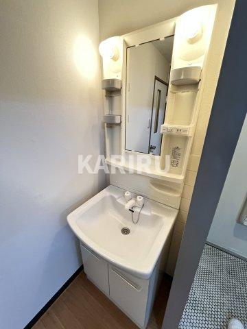 リバーサイドニッシン城東ハイツの洗面所