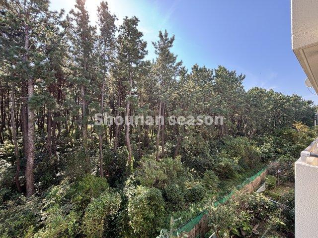 【展望】 | 湘南の海風を感じる距離です◎海好きにおすすめ☆