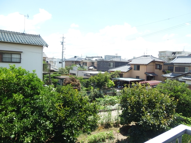 サンフォレスト森の展望