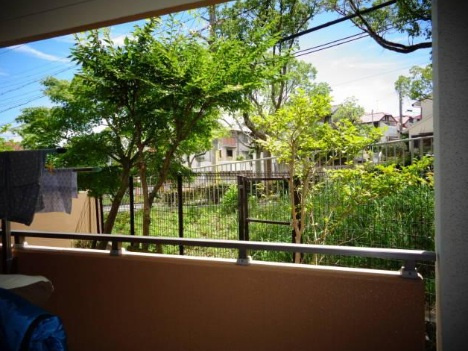 メロディーハイム須磨フェルコリーナのバルコニー