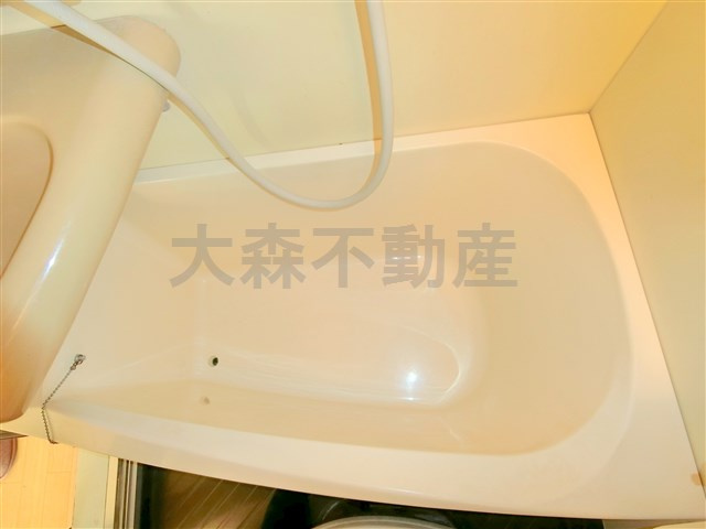 ワールドレジデンス大森の浴室