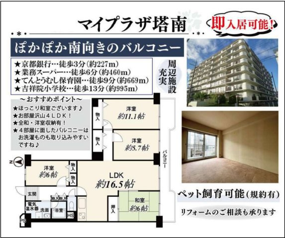 マイプラザ塔南の間取り