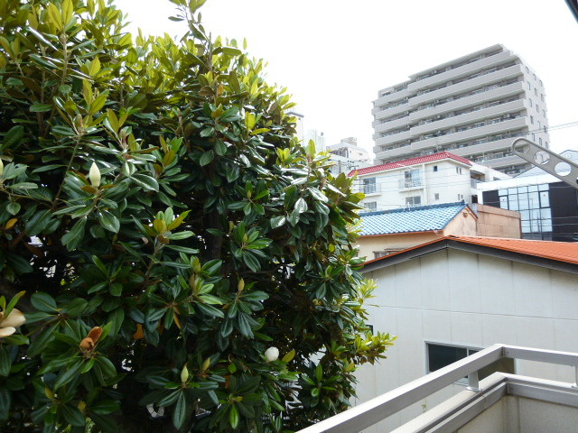 ドルチェの展望|★バルコニーからの写真です★