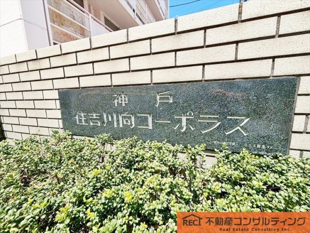 住吉川向コーポラスのその他