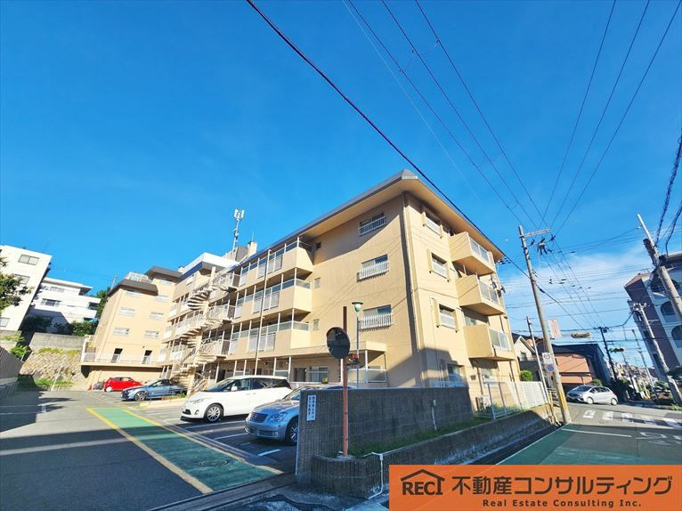 スターハイツ住吉川