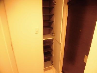 Delphi（デルフィ）の収納|シューズＢＯＸ