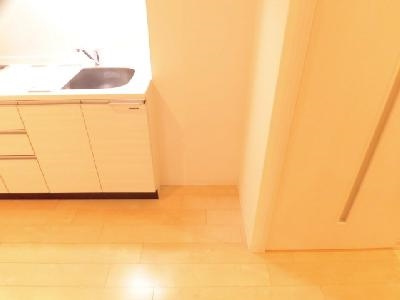 Delphi（デルフィ）のその他|冷蔵庫設置スペース