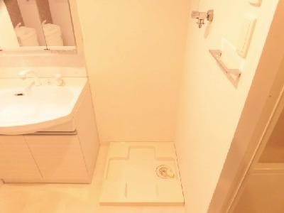 Delphi（デルフィ）の設備|室内洗濯機置き場