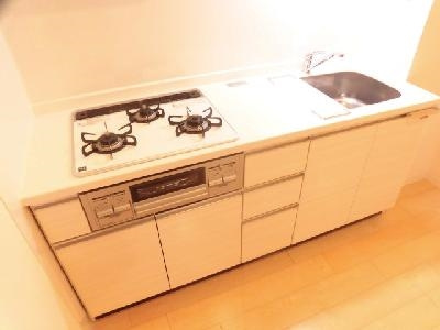 Delphi（デルフィ）のキッチン|３口ガスシステムキッチン