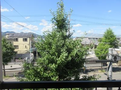 御池ハイツのその他|北向き眺望