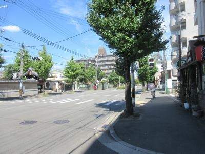 御池ハイツの周辺|前面道路