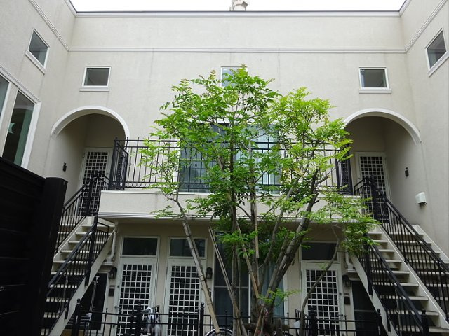 グランエッグス学芸大学の外観