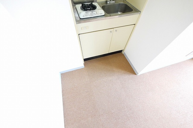 ハイネス桜井のその他