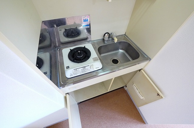 ハイネス桜井のその他