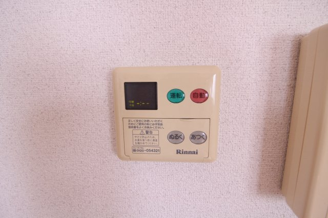 バージンブリッジのその他