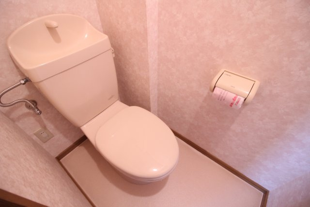 バージンブリッジのトイレ