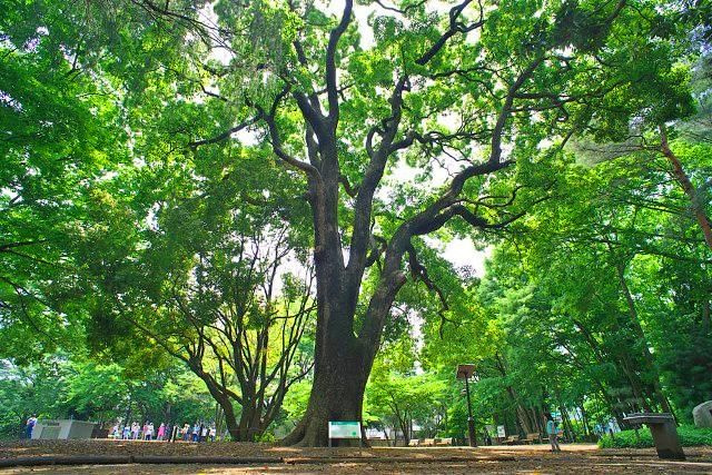 日生ハイツの周辺