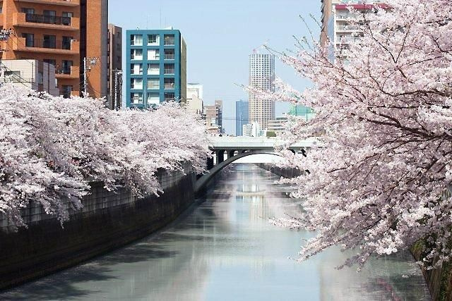 日生ハイツの展望