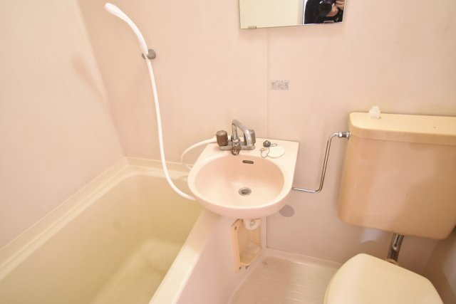 ハイツシャロームの洗面所