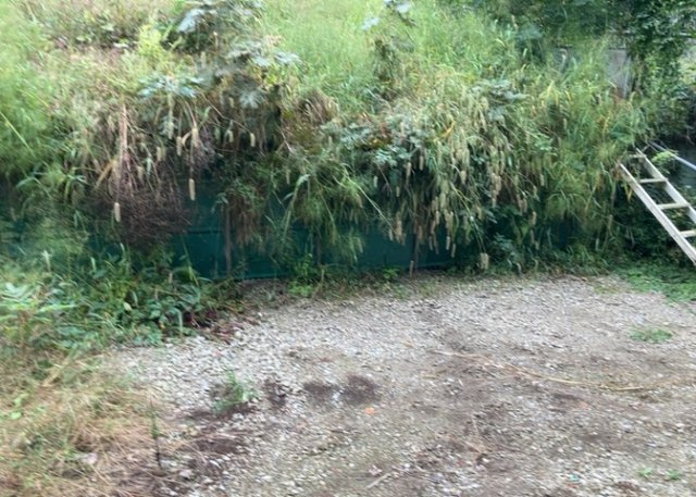 【外観】 | 土地を買う際、住む地域の自治体や福祉の補助制度にも注目してみましょう。子供や老人の医療補助やゴミ出しのルールなど、自治体によってルールに大きな違いがあるため、暮らしやすい土地で判断するとよいでしょう。