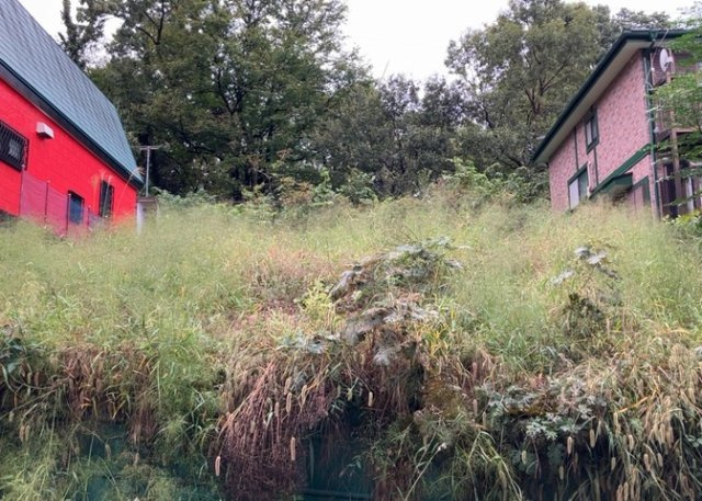 【外観】 | 隣家の土地はどうなっているのか、生活利便施設が近くにあるのか、学校まで近いかなど、お客様のライフスタイルにあわせたイメージが重要です。また、近くにあると困る施設が近くにないかも確認するといいでしょう。