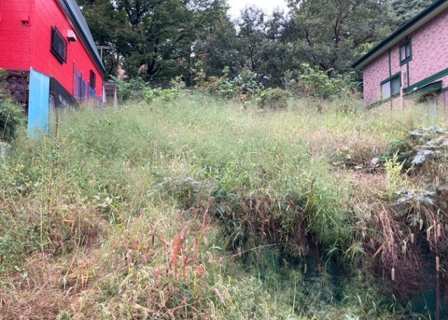 【外観】 | 家を建てる前提で土地を探している場合、地盤の丈夫さは譲れない条件の一つです。地盤が脆弱だと追加工事が必要となります。また、過去に地盤沈下や液状化現象を起こした土地は、できるだけ避けた方がいいでしょう。